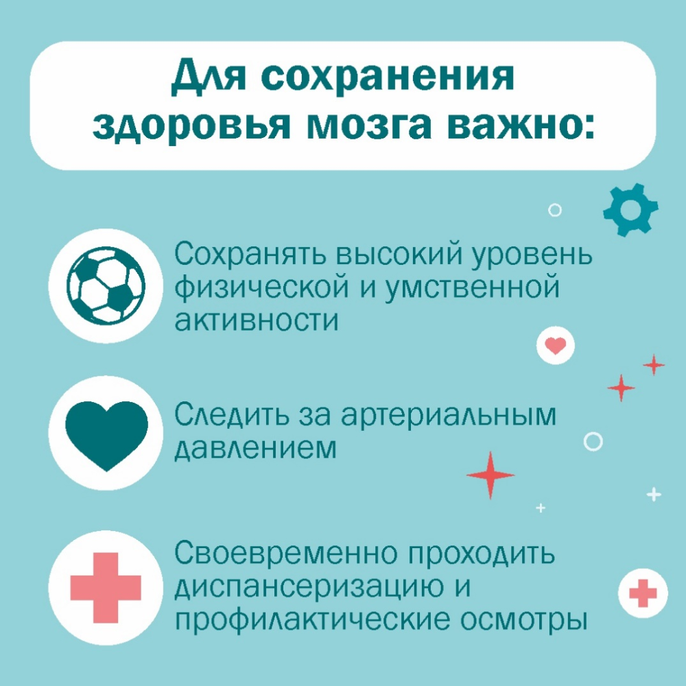 Здоровье головного мозга: что нужно контролировать