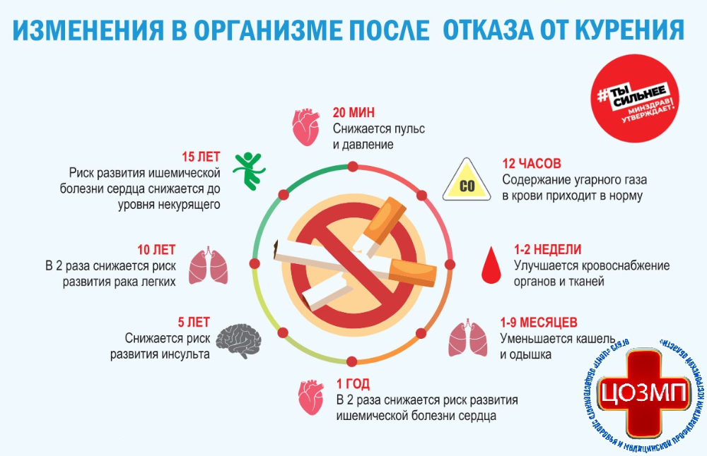 Неделя без табака: Ваш выбор в пользу здоровья!