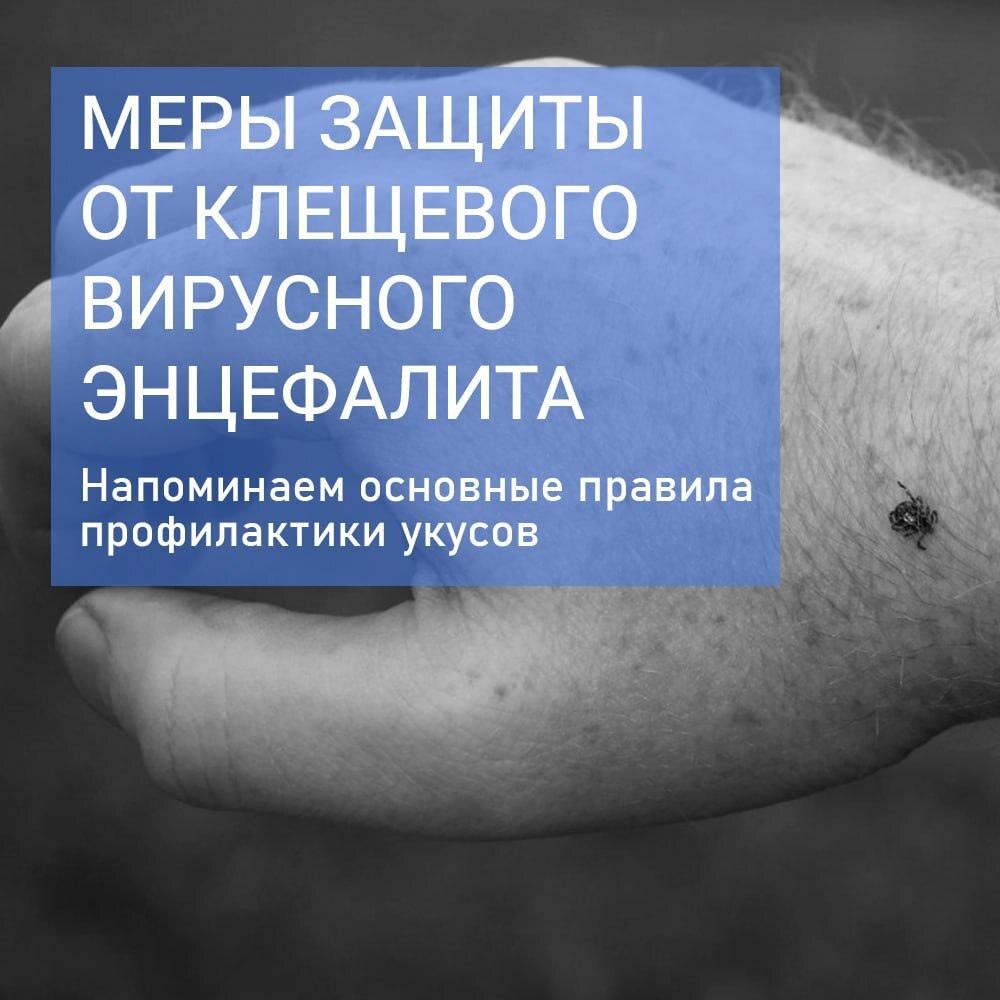 Как защитить себя от клещей, что делать в случае укуса